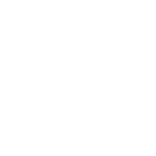 Mycelium Dynamics Emblem